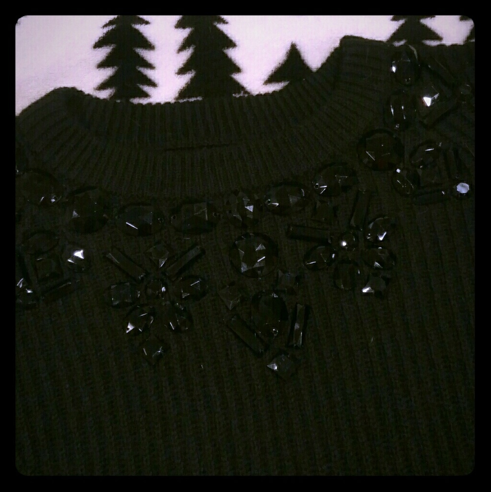 Ann Taylor sweater embellished S
